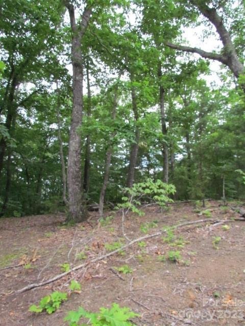 Property image 4 at 00 Caledonia Road, Landrum, SC 29356