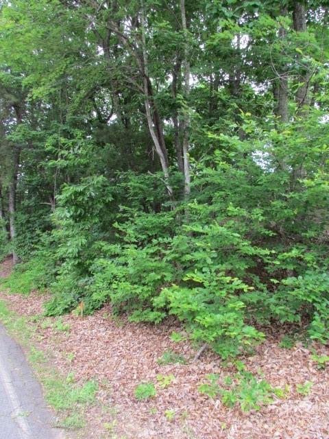 Property image 5 at 00 Caledonia Road, Landrum, SC 29356