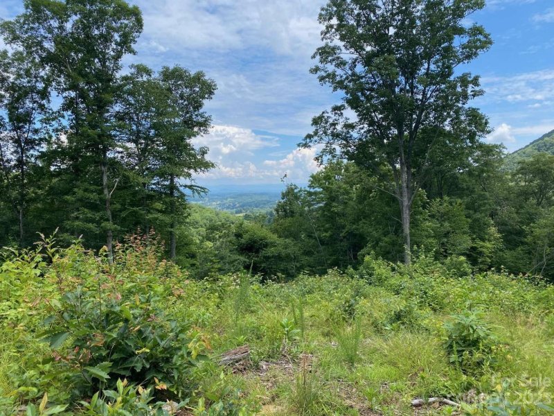 Property image 3 at 25 26 Coldwater Drive, Leicester, NC 28748