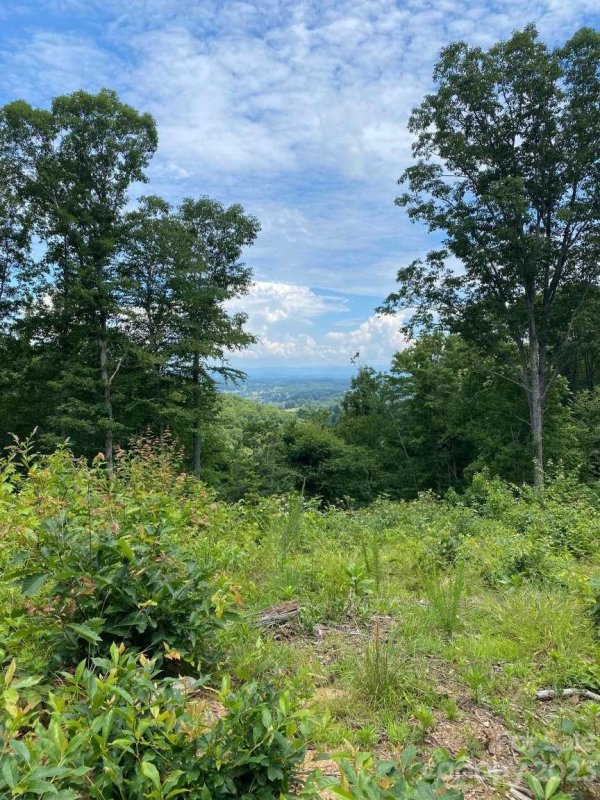 Property image 4 at 25 26 Coldwater Drive, Leicester, NC 28748