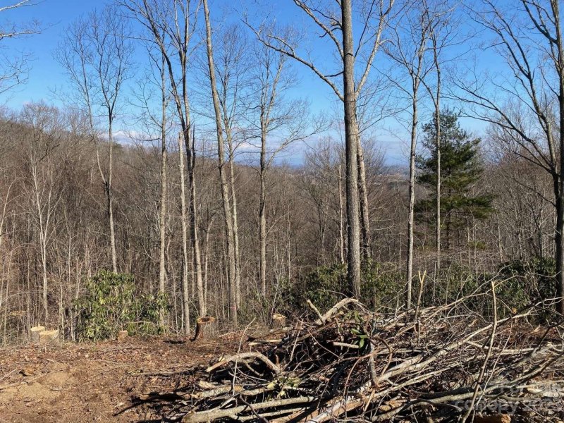 Property image 5 at 25 26 Coldwater Drive, Leicester, NC 28748