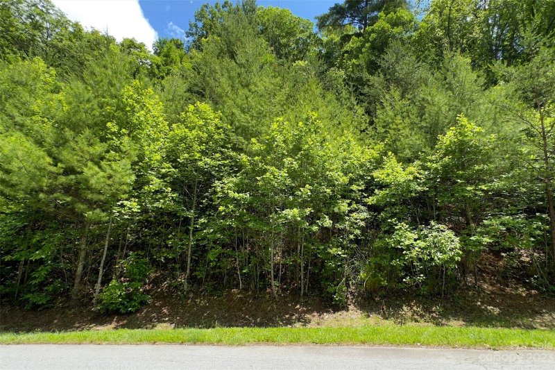 Property image 4 at 158 Twin Courts Drive, Weaverville, NC 28787