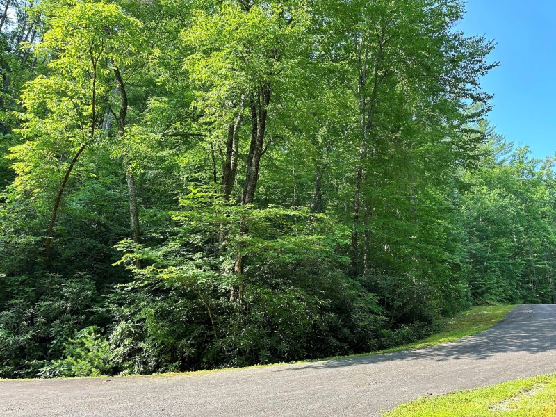 Property image 4 at 17 Trillium Lane, Rosman, NC 28772