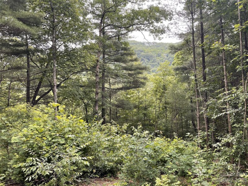 631 Silverstone Drive