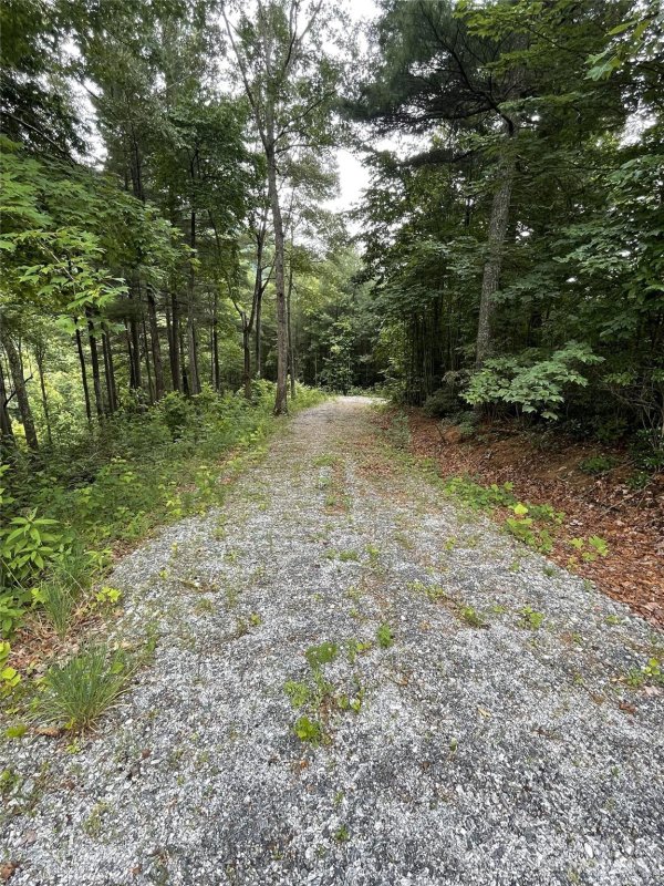 Property image 4 at 631 Silverstone Drive, Hendersonville, NC 28792