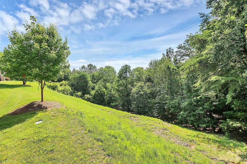 Property image 5 at 713 Deerbrook Lane, Tega Cay, SC 29708