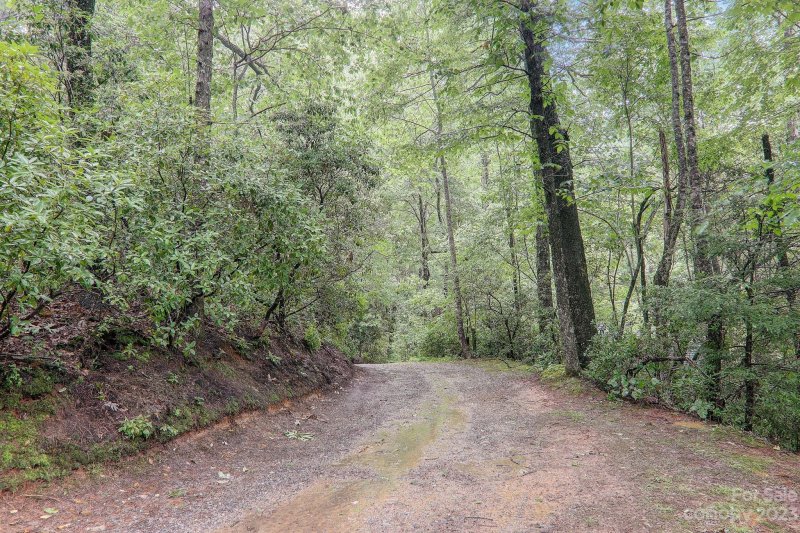 Property image 4 at 30 Rainbow Lake Circle, Black Mountain, NC 28711