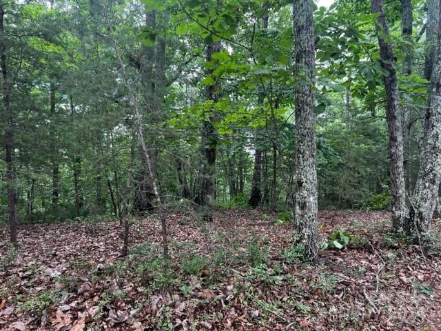 Property image 3 of 46 N Park Lane in Lake Adger, Mill Spring, NC 28756