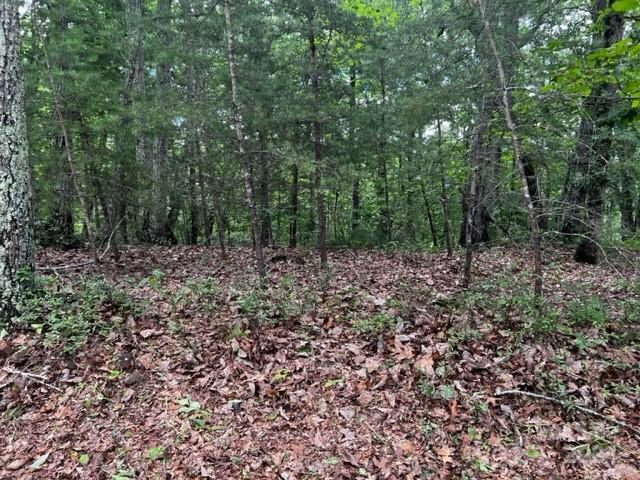 Property image 4 of 46 N Park Lane in Lake Adger, Mill Spring, NC 28756