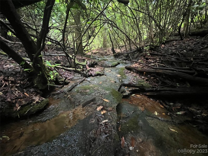 Property image 2 at 0000 Marshall Lake Road, Cedar Mountain, NC 28718