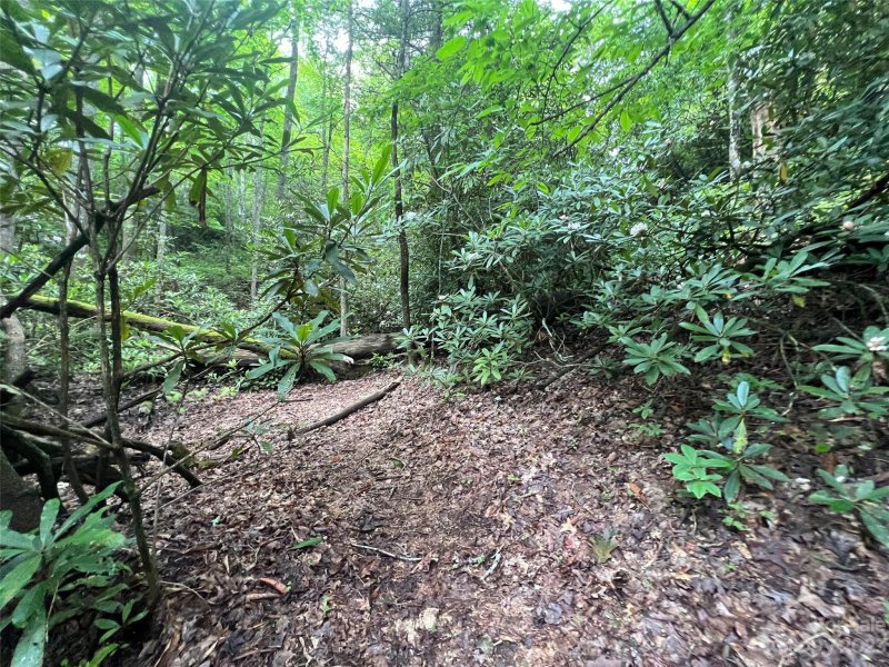 Property image 3 at 0000 Marshall Lake Road, Cedar Mountain, NC 28718