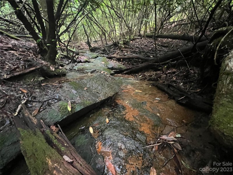 Property image 4 at 0000 Marshall Lake Road, Cedar Mountain, NC 28718