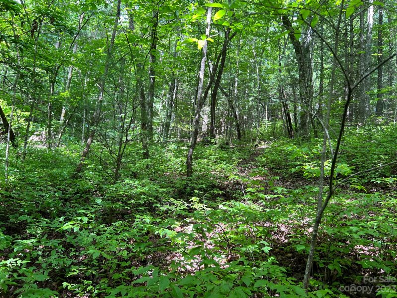 Property image 5 at 0000 Marshall Lake Road, Cedar Mountain, NC 28718