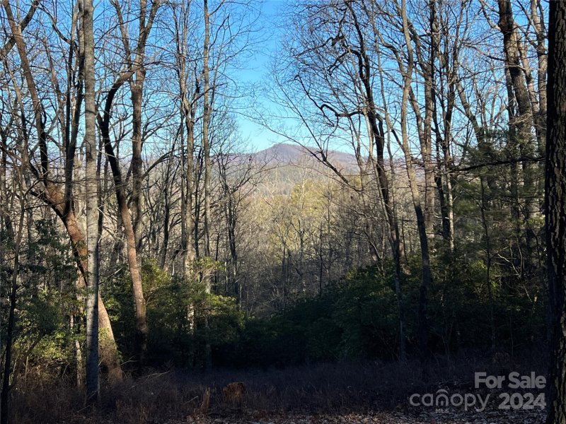 Property image 2 at 9999 Marshall Lake Road, Cedar Mountain, NC 28718