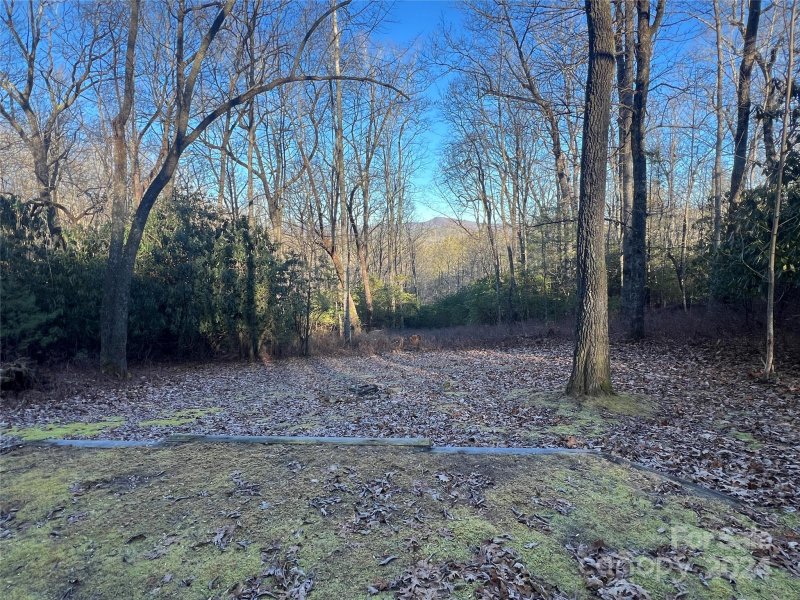 Property image 3 at 9999 Marshall Lake Road, Cedar Mountain, NC 28718