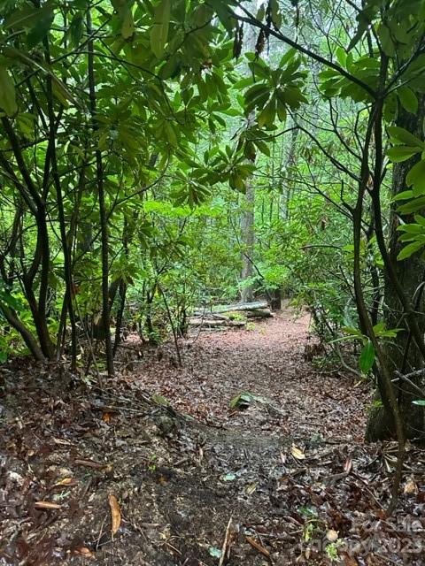 Property image 2 at Tbd Cherrywood Lane, Pisgah Forest, NC 28768
