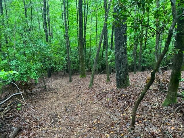 Property image 3 at Tbd Cherrywood Lane, Pisgah Forest, NC 28768