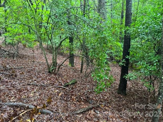 Property image 4 at Tbd Cherrywood Lane, Pisgah Forest, NC 28768