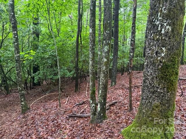 Property image 5 at Tbd Cherrywood Lane, Pisgah Forest, NC 28768