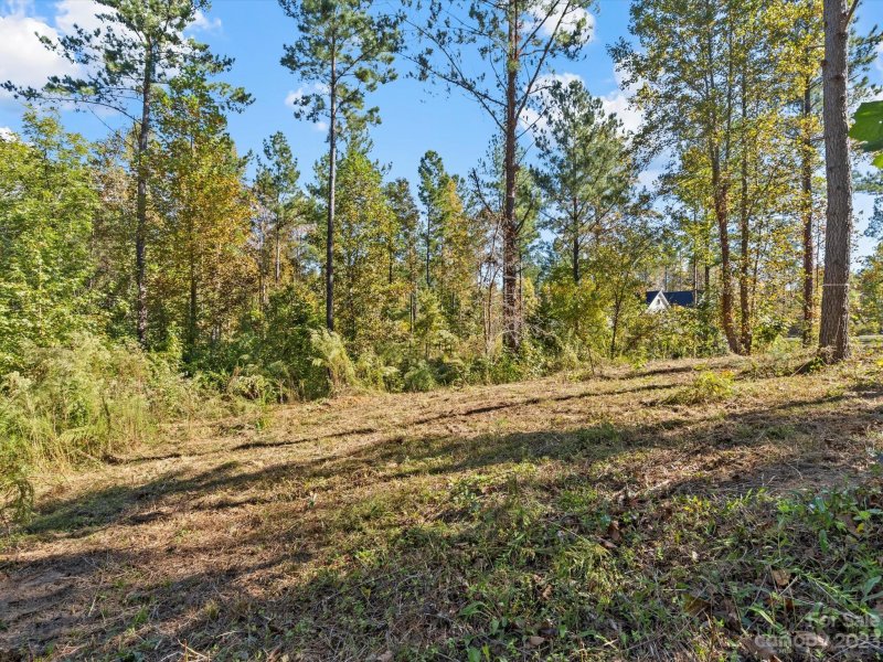 Property image 2 at 5147 Star Magnolia Court, Clover, SC 29710