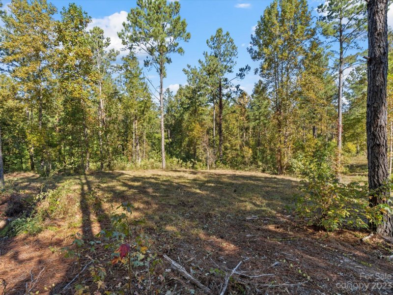 Property image 3 at 5147 Star Magnolia Court, Clover, SC 29710