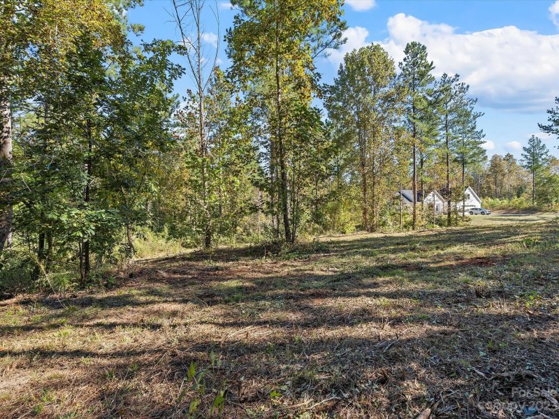 Property image 5 at 5147 Star Magnolia Court, Clover, SC 29710