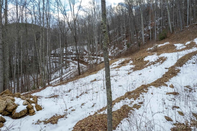 Property image 4 at 2276 Lake Forest Drive, Tuckasegee, NC 28783