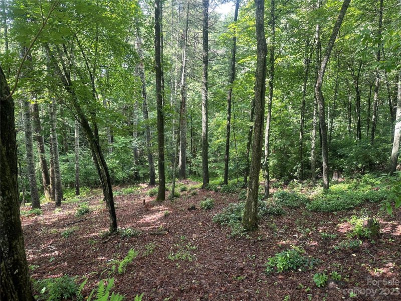 Property image 3 at Lot 8 Oxford Court, Brevard, NC 28712