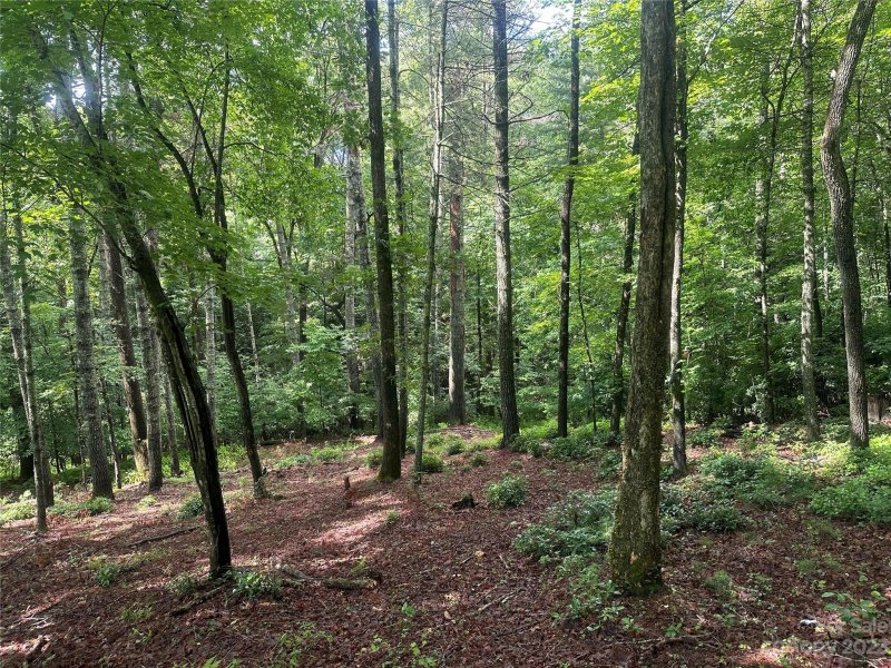 Property image 4 at Lot 8 Oxford Court, Brevard, NC 28712
