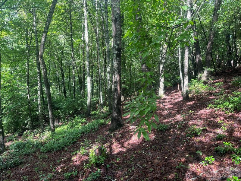 Property image 5 at Lot 8 Oxford Court, Brevard, NC 28712