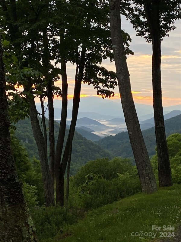 Property image 3 of Lot 8 10 Mountain Gait Drive in The Preserve at Wolf Laurel, Mars Hill, NC 28754