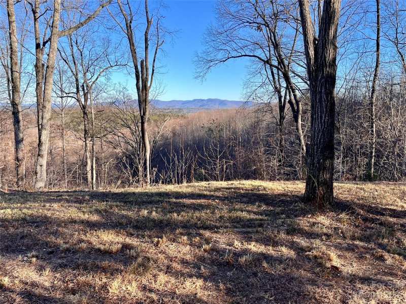 Property image 2 at Lot 178 Black Lark Drive, Marion, NC 28752