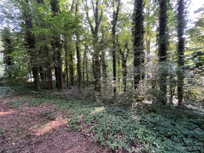 Property image 3 at 000 Birchwood Court, Gastonia, NC 28056