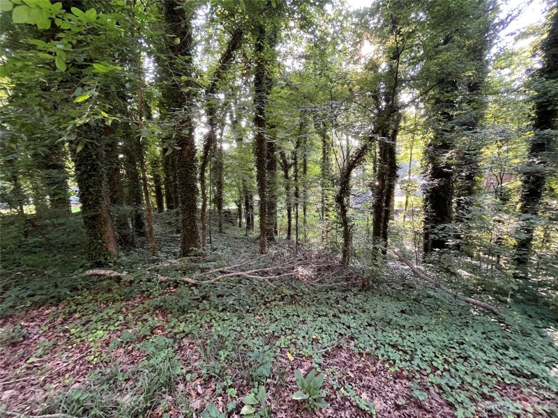 Property image 4 at 000 Birchwood Court, Gastonia, NC 28056