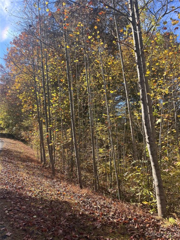 Property image 3 at 0 Cross Creek Drive, Rutherfordton, NC 28139