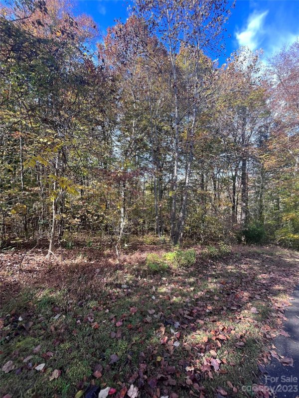 Property image 4 at 0 Cross Creek Drive, Rutherfordton, NC 28139