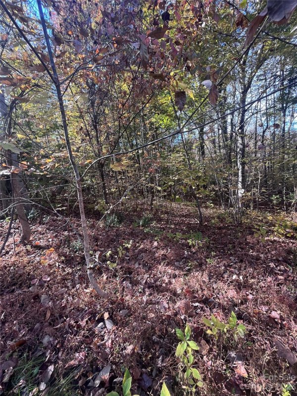 Property image 5 at 0 Cross Creek Drive, Rutherfordton, NC 28139