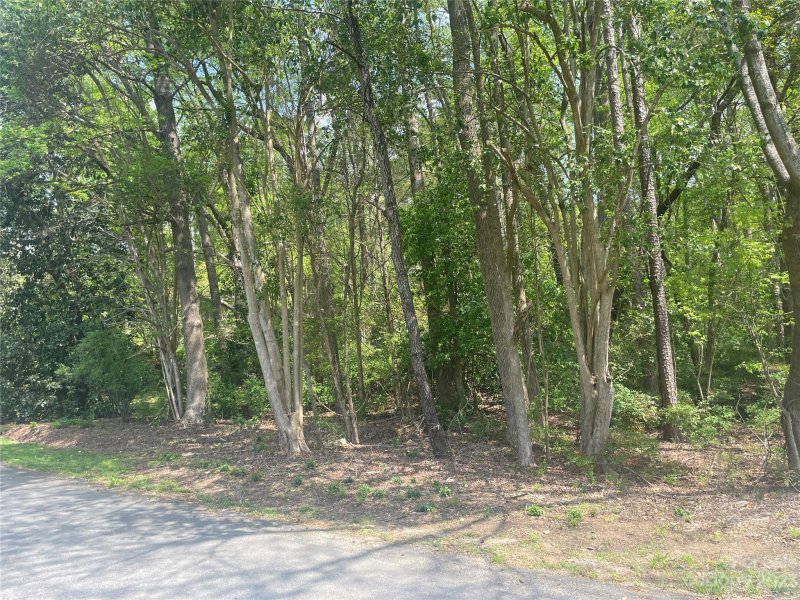 Property image 2 at 0000 Melrose Drive, Rock Hill, SC 29732