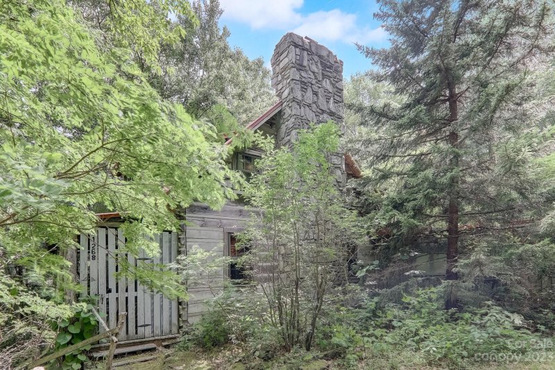 Property image 3 at 1268 Long Branch Road, Maggie Valley, NC 28751