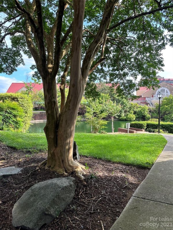 Property image 4 at 9029 J M Keynes Drive, Charlotte, NC 28262