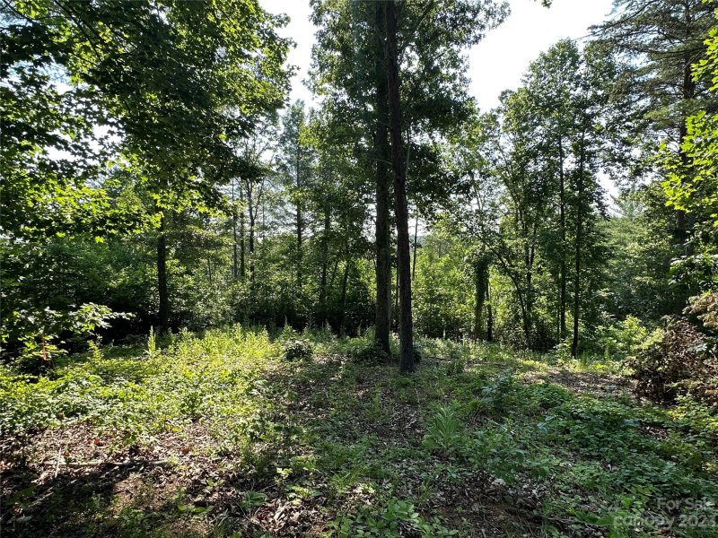 Property image 4 at 3202 Bear Paw Avenue, Valdese, NC 28690