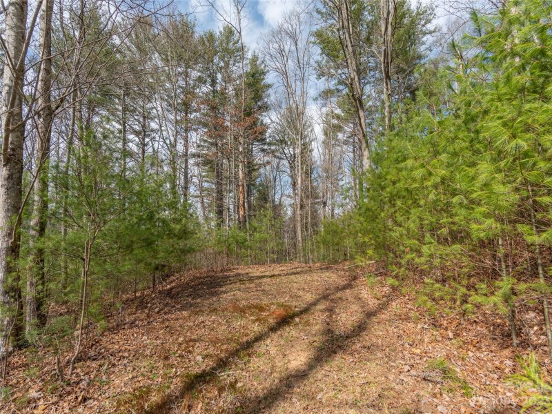 Property image 2 at Lot 3 Dream Valley Drive, Clyde, NC 28721