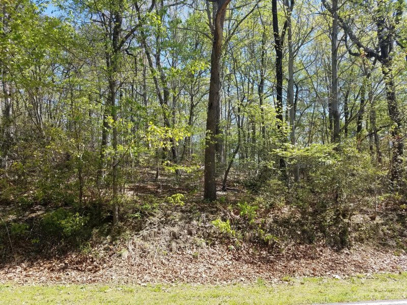 0 Dogwood Trail
