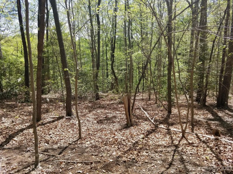 Property image 2 at 0 Dogwood Trail, Tryon, NC 28782