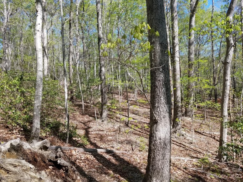 Property image 3 at 0 Dogwood Trail, Tryon, NC 28782