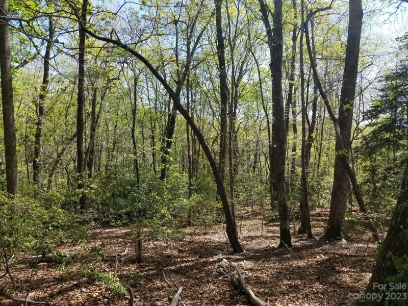 Property image 4 at 0 Dogwood Trail, Tryon, NC 28782