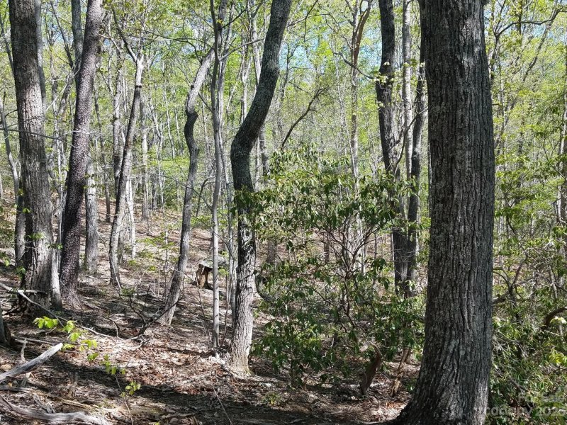 Property image 5 at 0 Dogwood Trail, Tryon, NC 28782