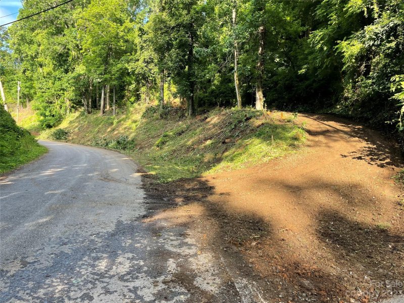 Property image 3 at 145 Laurel Road, Arden, NC 28704