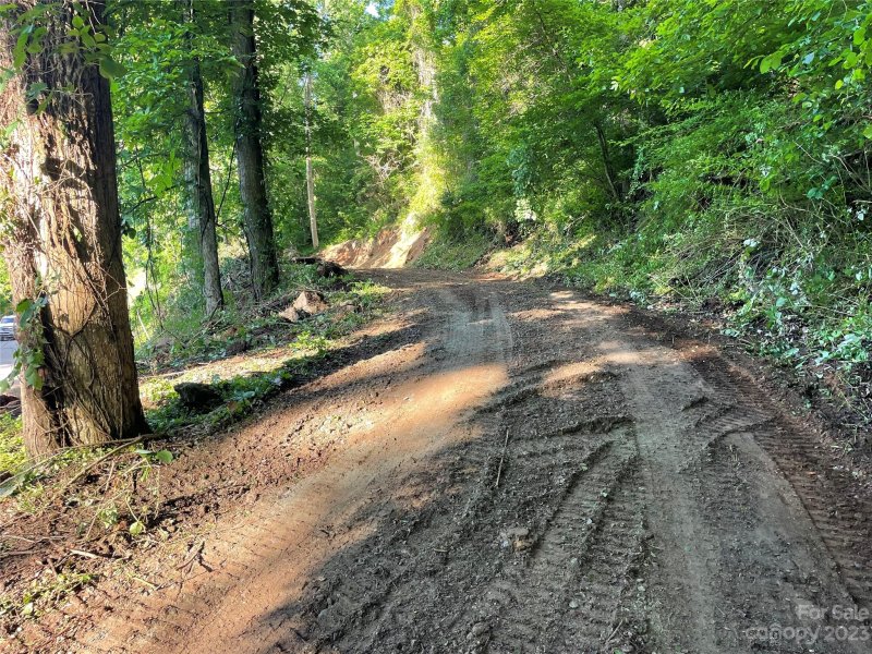 Property image 4 at 145 Laurel Road, Arden, NC 28704