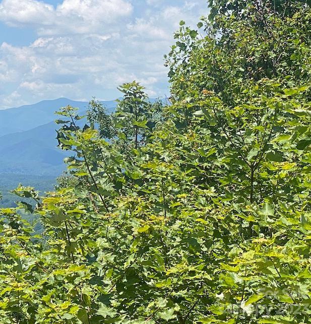 Property image 4 at Lot 10 Grants Mountain Road, Marion, NC 28752